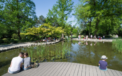 The unknown Budapest: Here are five memorable attractions – recommended by Aftenposten